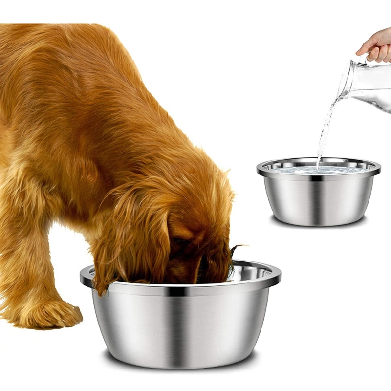 Кормушки для собак из нержавею – обзор и цена Royal Canin Food Medium